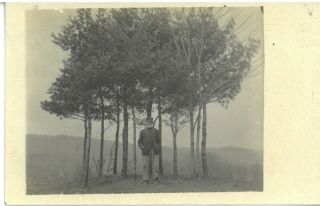 Vintage Religious Rppc Identified Man And His Grove Of Trees