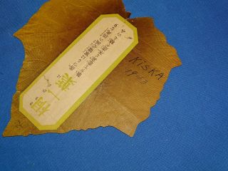 WWII Kiri Leaf Propaganda Leaflet Dropped on Japanese,  KISKA 1943 2