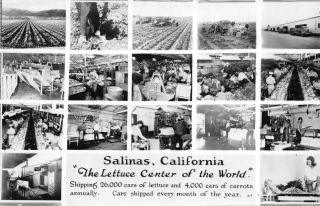 Real Photo Postcard Showing Multiple Views Of Salinas,  California 113476