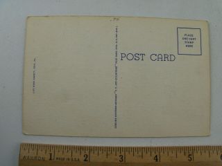 Vtg 1930 ' s Roses in Bloom along Peninsula Erie Pennsylvania PA Linen Postcard 2