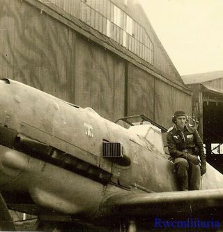 Best Luftwaffe Pilot Posed On His Me - 109 Fighter Plane W/ Staffel Emblem
