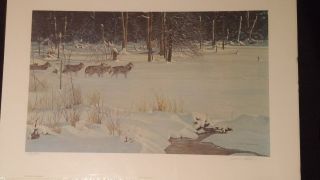 Robert Bateman " Wolves On The Trail " Print,  Numbered And Signed