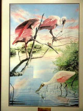 Peter Gerbert " Roseate Sunset " Spoonbill Signed Numbered Framed Lithograph