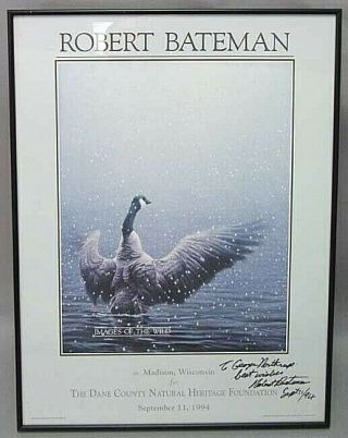 Robert Bateman Stretching Canadian Goose Hand Signed Framed Lithograph Print