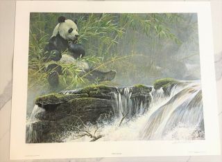 Robert Bateman - Giant Panda Print
