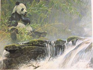 Robert Bateman - Giant Panda Print 2