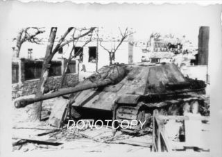 Wwii Photo - Destroyed German Jagdpanther Tank