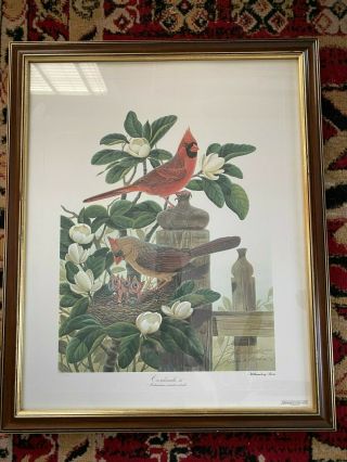 Cardinals Iii By John A.  Ruthven - - Limited Edition Print (williamsburg Series) (n