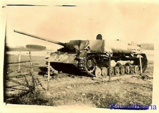 RARE US Soldier View KO ' d German Jagdpanzer IV Tank Destroyer in Field 2