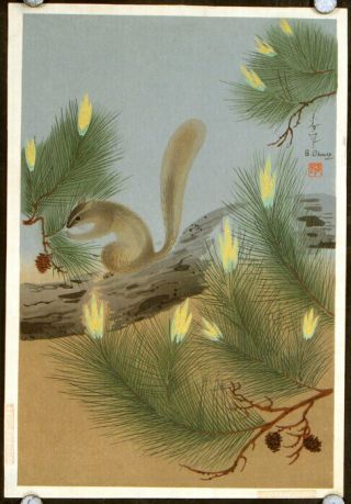 Bakufu Ohno / Untitled Squirrel In A Pine Tree Signed 1950