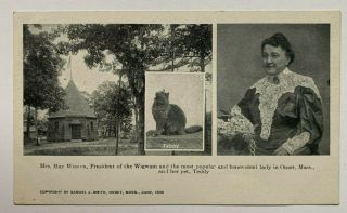 Ma Postcard Onset Cape Cod Wigwam President Mrs May Weston Lady Pet Cat Teddy