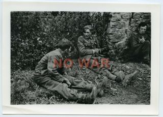 Wwii Photo German Young Soldiers Prisoners Pow Captured After Battle