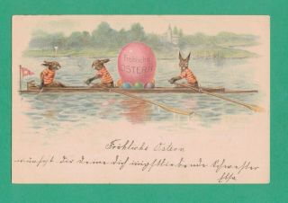 Scarce 1900 Easter Fantasy Postcard Dressed Rabbits Rowboat Sculling River Eggs