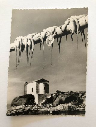 Old Real Photo Postcard Rppc Greece Lesvos Skala Sykamia Mytilene ΜΥΤΙΛΗΝΗ ΛΕΣΒΟ
