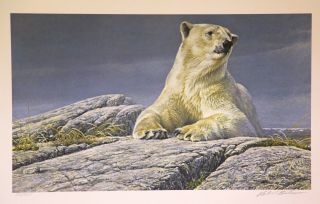 Robert Bateman,  Summertime Polar Bear - S/n Le Lithograph