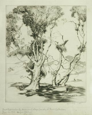 A Fine Alfred Hutty Etching,  Across The Valley,  1930
