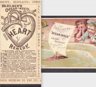Dr Kilmers Ocean - Weed Heart Remedy 1800 