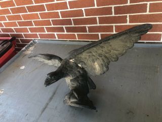 Large Cast Iron 1880s Pilot House Eagle 30.  25 " Wing Span 36lbs