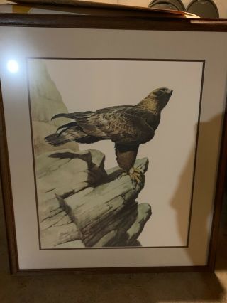Golden Eagle By Guy Coheleach - Signed Print