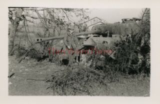 Wwii Photo - 696th Engineer Pdc - Us Soldier W/ Captured German Panther Tank