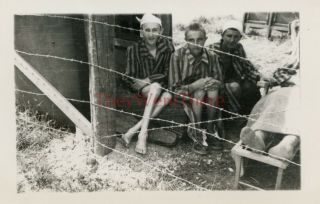 Wwii Photo - 696th Engineer Pdc - Dachau Concentration Camp Holocaust Survivors