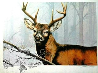 Phillip Crowe " Misty Morning Whitetail " Artist Proof Remarque 1983