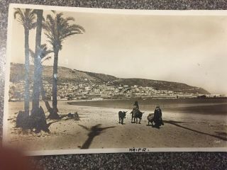 Vintage Real Photo Postcard Haifa Beach Donkeys Judaica
