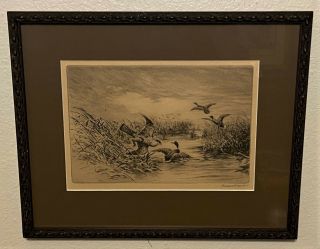 Roland Clark Pencil Signed Sporting Art Etching - Hawk And Ducks
