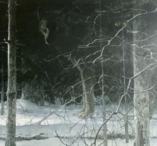 Robert Bateman “Midnight Black Wolf“ Limited Edition signed print 1988,  framed 3