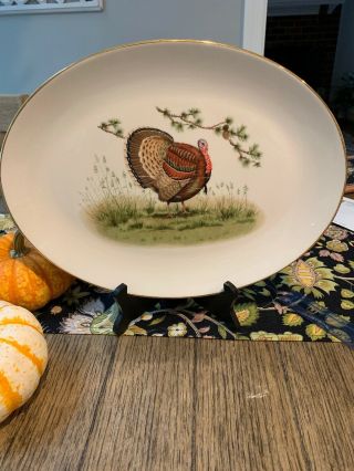 Carole Stupell Thanksgiving Turkey Platter Mid Century Modern,  Retro,  Vintage