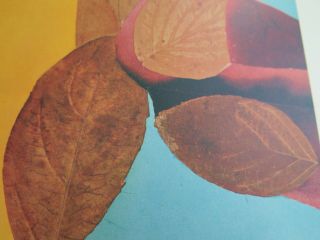 Josef Albers Silkscreen Folder XXV - 2 Right Interaction of Color 1963 2