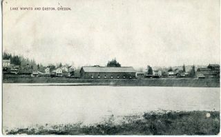 View Of Gaston Oregon Or & Wapato Lake: F.  A.  Everest Postcard - 1910