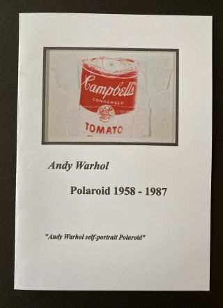 Andy Warhol " Andy Warhol Self - Portrait Polaroid " Polaroid 1958 - 1987