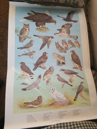 Vintage Pennsylvania Game 1965 Commission Wildlife Birds Of Prey Ned Smith