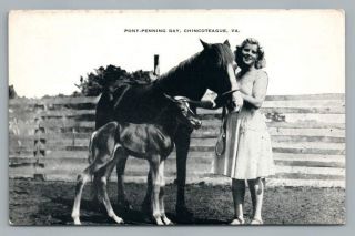 " Pony - Penning Day " Chincoteague Virginia Vintage Wild Horse Riding Girl 1940s