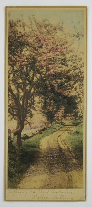 Vintage Wallace Nutting Print Hand Colored Spring Berkshires Ma Signed C.  1930s