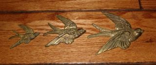 Vintage Brass Birds Wall Decor Set Of 3 Great Wall Hangings