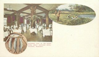 Pvt Mailing Card Multiview Great Southern Hotel,  Gulfport Ms Hunting & Fishing