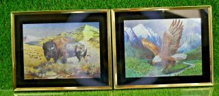 Vintage Two Metallic Foil Art 8 " X 10 " Print Of Buffalo And Eagle Picture Framed