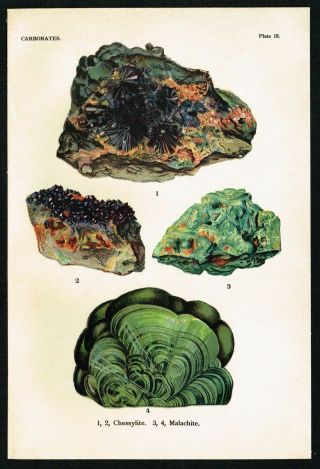 1911 Carbonates,  Chessylite,  Malachite,  Antique Geology Print - L.  J Spencer