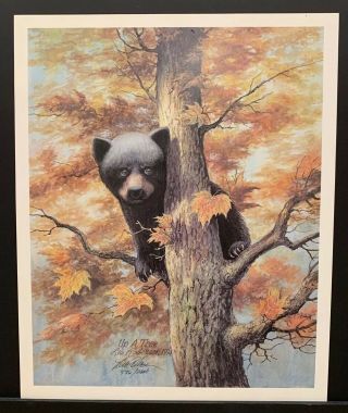 Lee Roberson Limited Edition Print “up A Tree” Gatlinburg Artist Black Bear