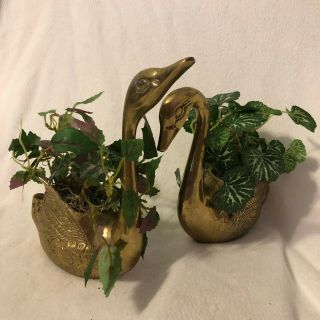 Vintage Heavy Solid Brass Swan Planters With Plants (2)