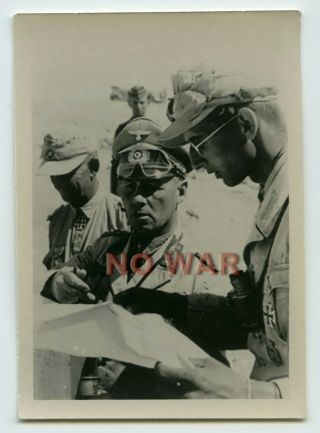 Wwii German Photo Fieldmarshal Erwin Rommel The Knight Cross Holder In Africa