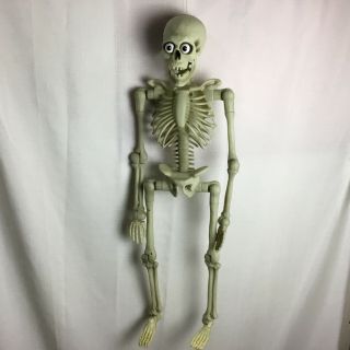 Gemmy Animated Wise Crackin Jack Skeleton Halloween Decoration See Video