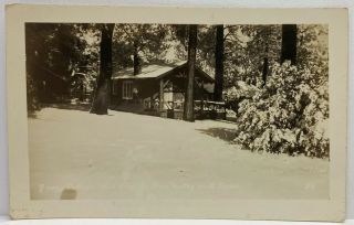 Rppc California Ca Cabin Pine Valley Wild Rose Snow Scene Real Photo Postcard