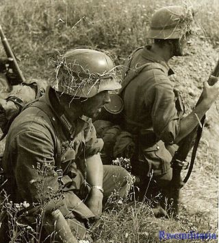 Port.  Photo: Tough Looking Wehrmacht Combat Infantry Crouching In Russian Field