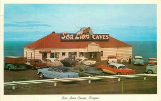 Anderson Automobiles Sea Lion Caves Oregon 1965 Postcard Teich 8826