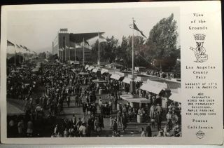 Los Angeles County Fair,  Pomona,  California,  Photo Post Card 1952,  Fairgrounds