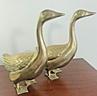 Vintage Pair Heavy Solid Brass Duck Figurines - 9.  25 " T X 7.  5 W 2.  7 - 5.  09 Lbs