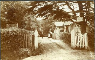Bullwood Entrance ?hockley Woods Animated,  Cafe,  Cottage,  Social History Rp 1909